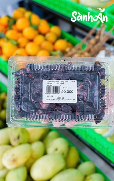 Trám nếp đen Lạng Sơn