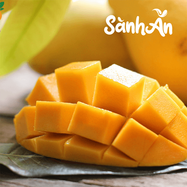 Xoài Cát Chu Vàng Cao Lãnh 2