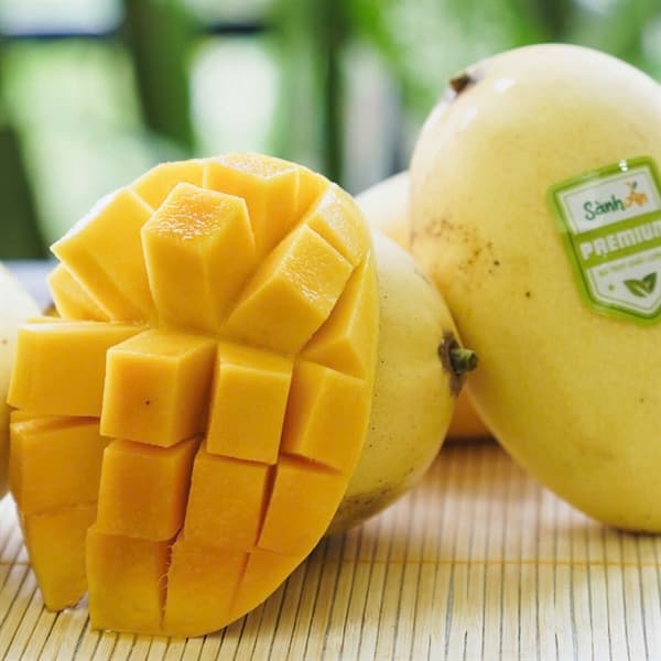 Xoài Cát Chu Vàng Cao Lãnh