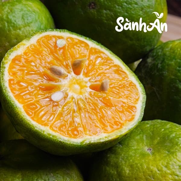 Cam sành Vĩnh Long 2