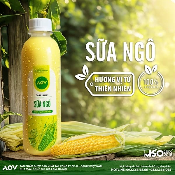 Sữa ngô AOV