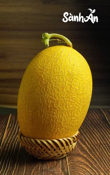 Dưa vàng đường 2