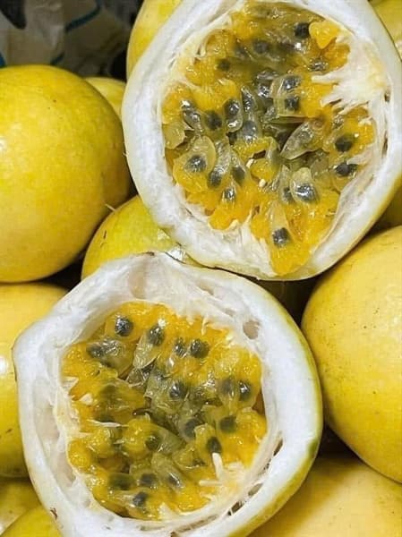 Chanh leo vàng hương ổi