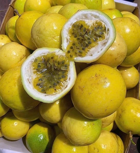 Chanh leo vàng hương ổi 3