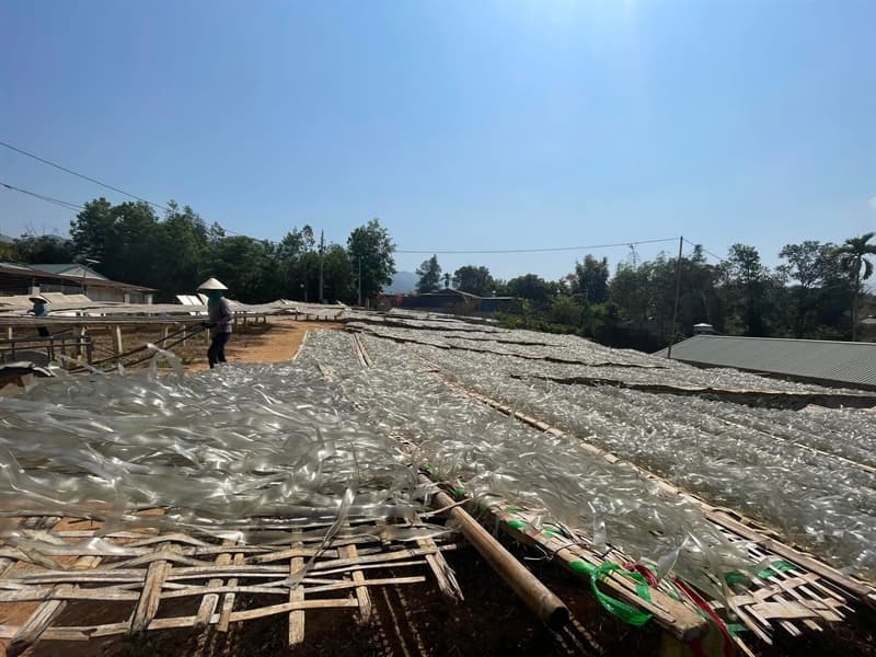 Miến dong Đồi Cao Điện Biên 500g 2