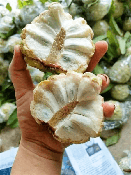 Thùng 5kg Na dai Chi Lăng Size 56 5