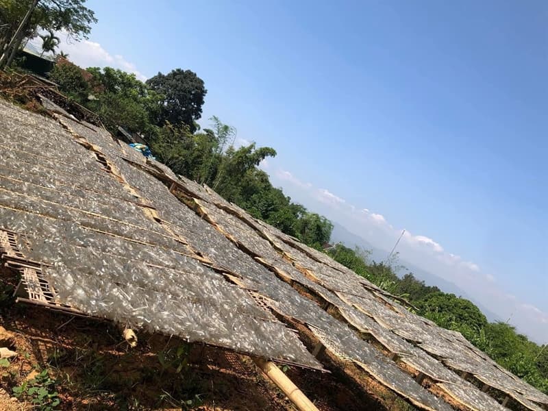 Miến dong Đồi Cao Điện Biên 500g 3