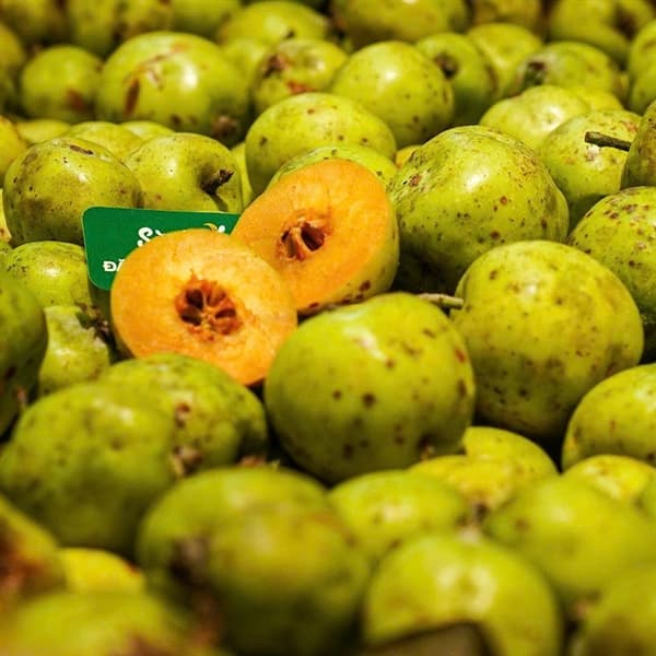 Táo mèo Mường Ảng Điện Biên