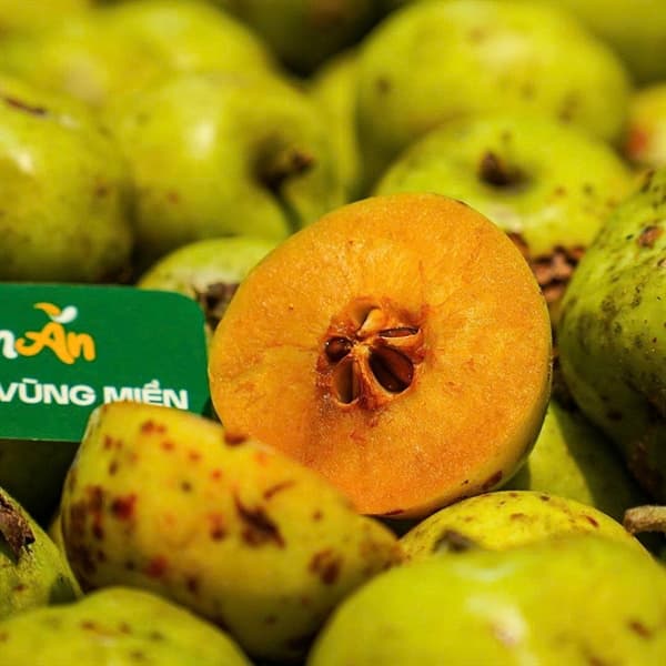 Táo mèo Mường Ảng Điện Biên 3