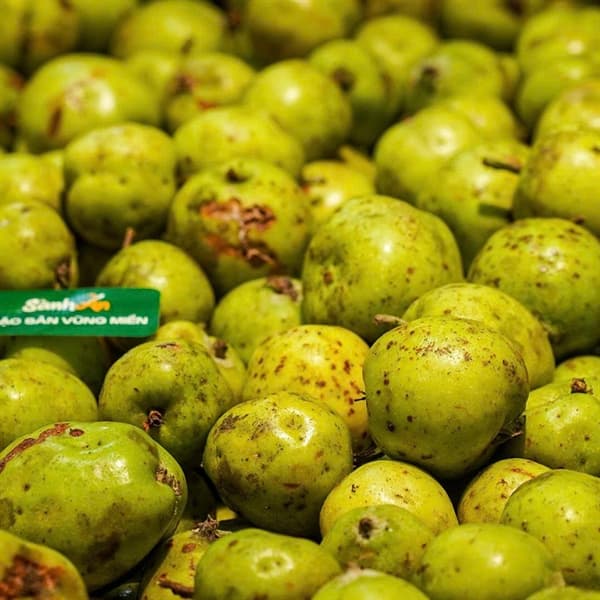 Táo mèo Mường Ảng Điện Biên 4