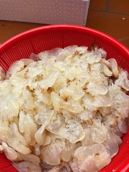 Nộm sứa ăn liền Vân Đồn 3