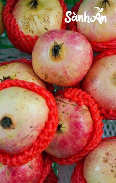 Lựu nữ hoàng hạt mềm 2