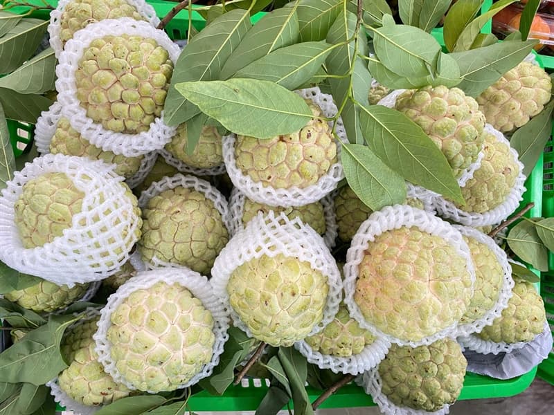 Thùng 5kg Na Chi Lăng Vip size 3-4 quả 4