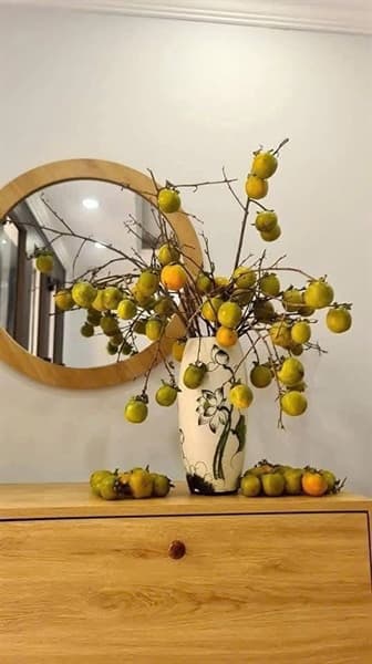 Cành hồng rừng Sơn La 2