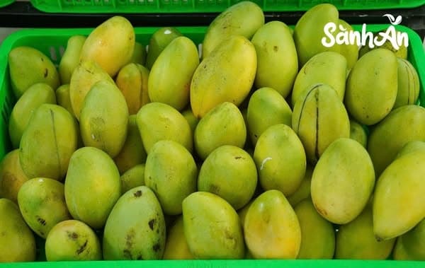 Xoài keo xanh 3