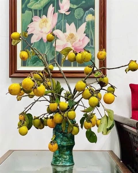 Cành hồng rừng Sơn La 3