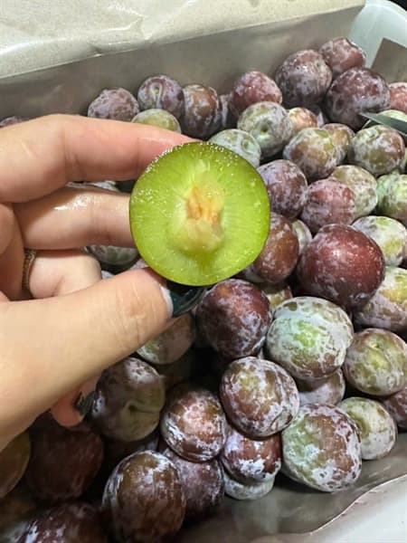 Mận róc hạt tím 3