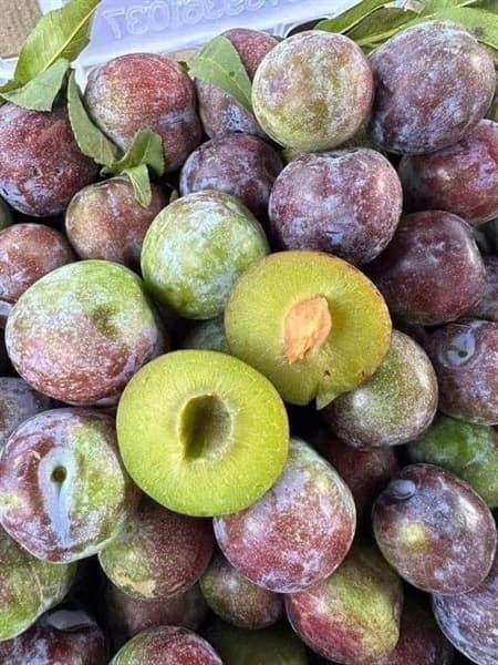 Mận róc hạt tím 2