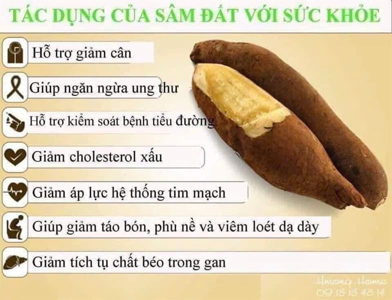 Sâm đất Y Tý Lào Cai 2