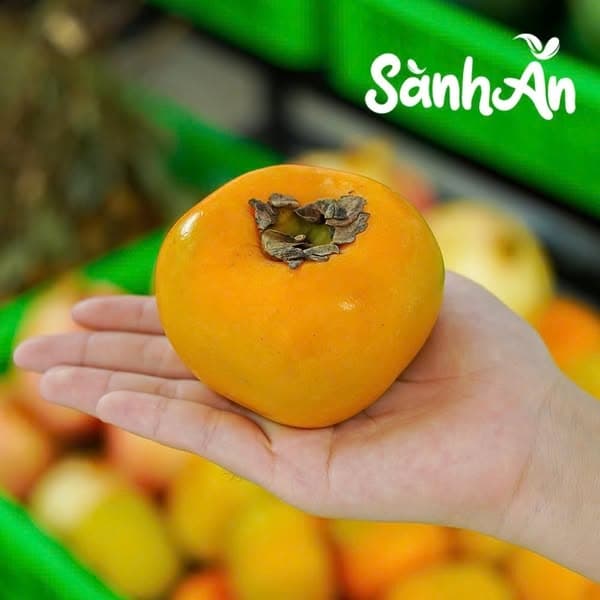 Hồng giòn Mộc Châu 3