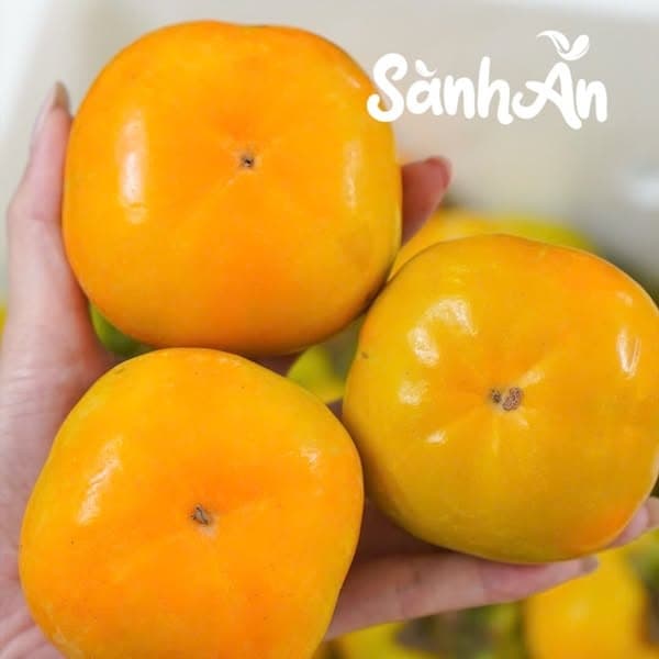 Hồng giòn Mộc Châu 4