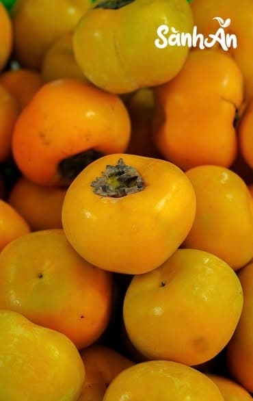 Hồng giòn Mộc Châu 2