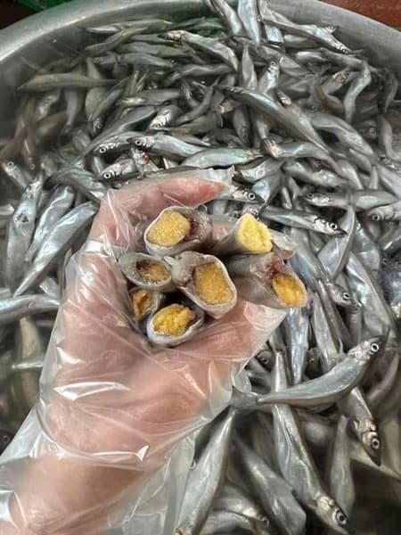 Cá Trứng Nauy 500g 3