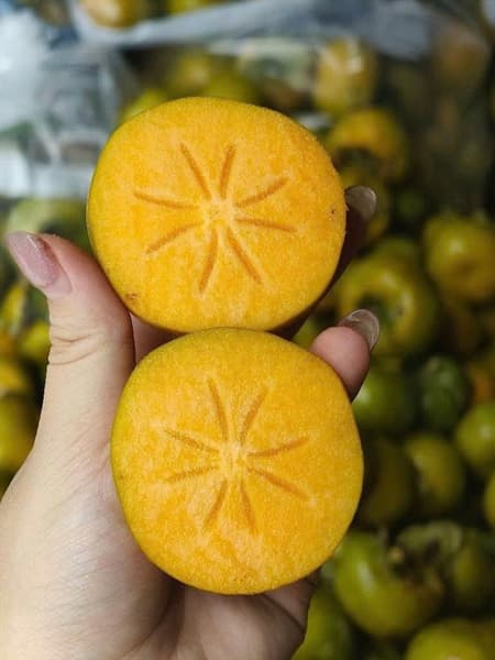 Hồng giòn chín nên Đà Lạt