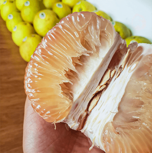 Bưởi Phúc Trạch Hà Tĩnh size 600g - 800g