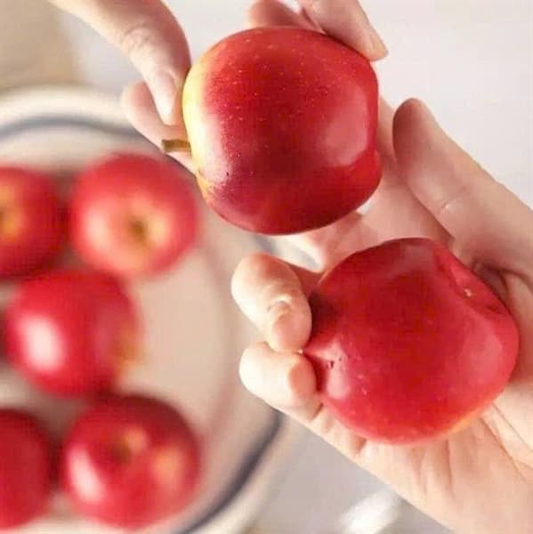 Táo Hồng Lộ Rockit