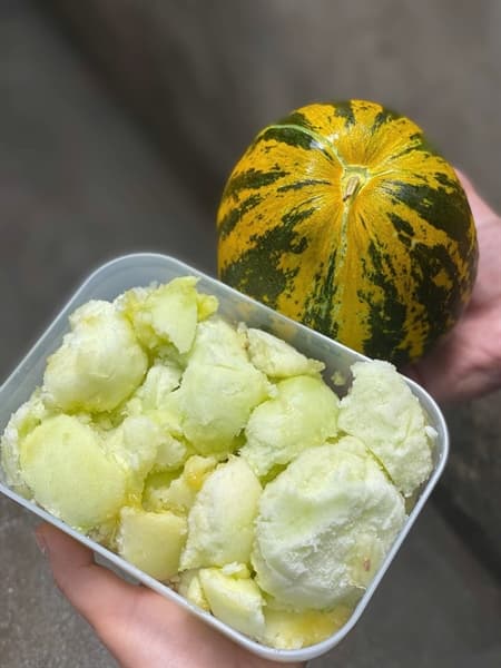 Dưa bở Đầm Tôm 2