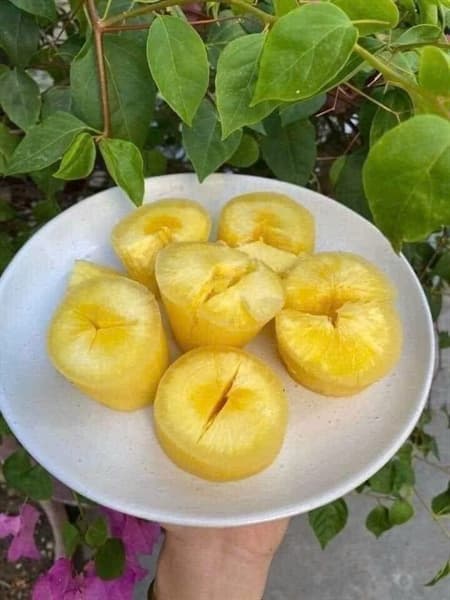 Sắn dẻo ruột vàng 4