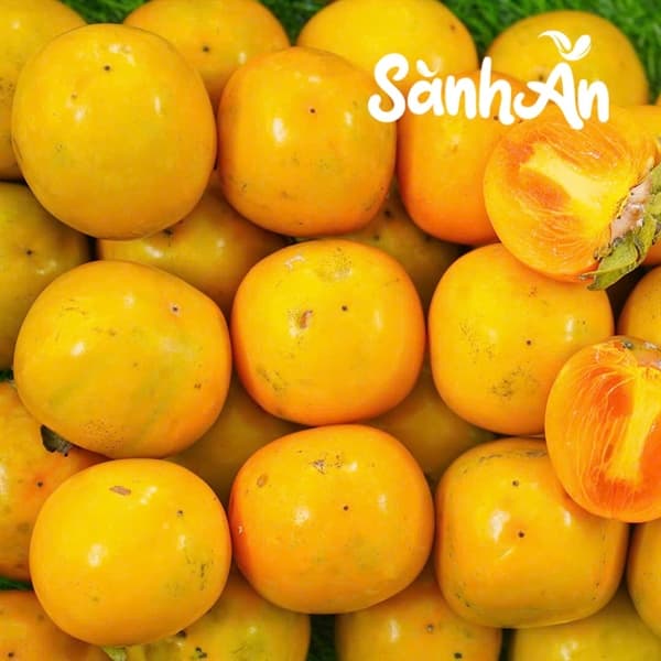 Hồng nhân hậu Lạng Sơn 2