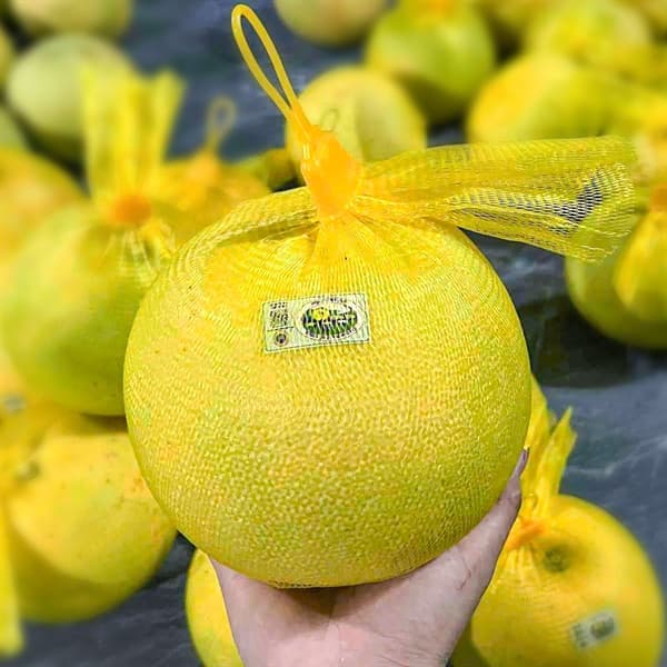 Bưởi Phúc Trạch Hà Tĩnh Size 1.1kg-1.4kg