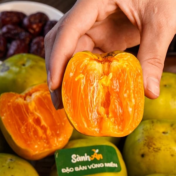 Hồng da tre - Thái Nguyên 4