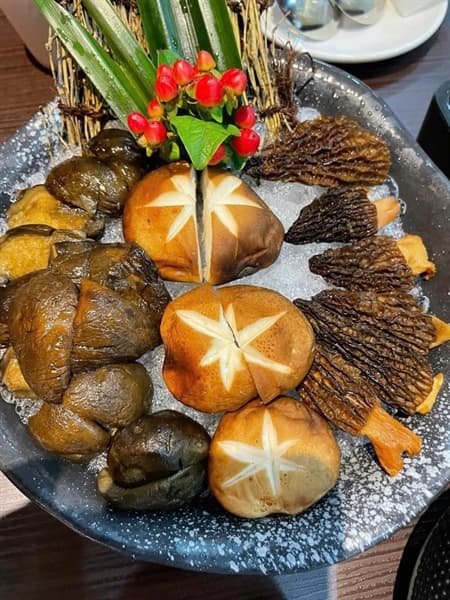 Lẩu nấm mỹ vị LHY 4