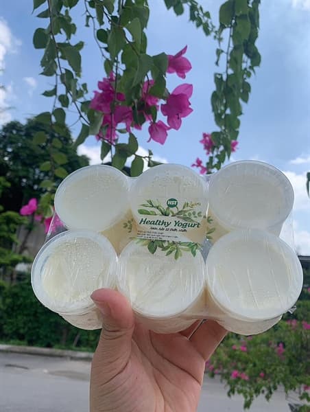 Sữa chua ăn healthy 4