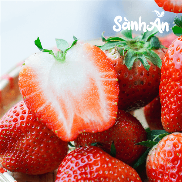 Dâu tây Mộc Châu size Vip