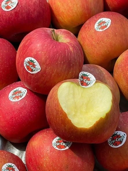Táo Trucap