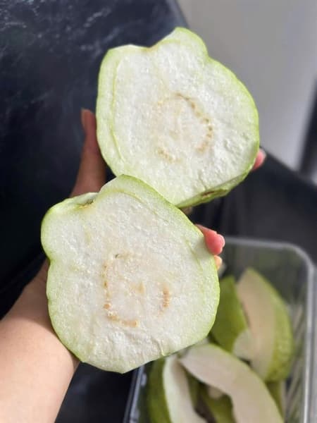 Ổi Thái sần Bắc Giang 4