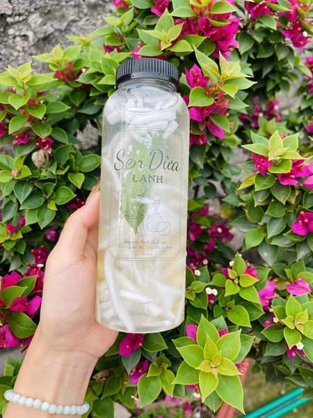 Dừa Tươi Sen Lạnh 4