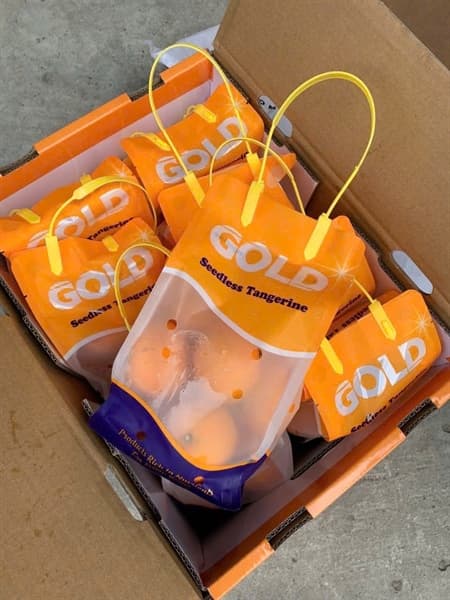 Quýt Úc túi con thỏ 3