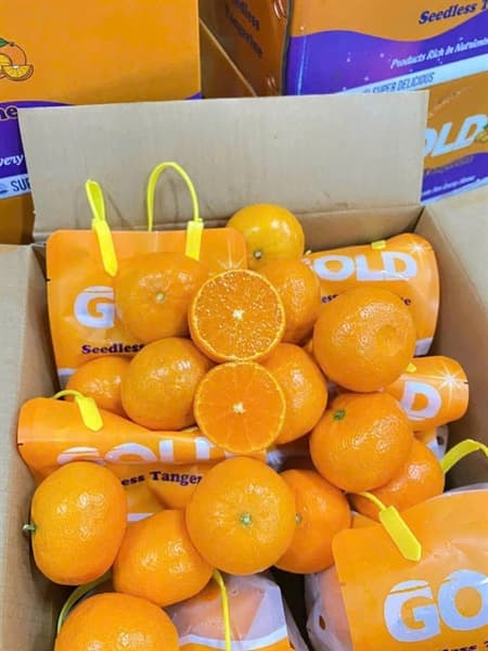 Quýt Úc túi con thỏ 2