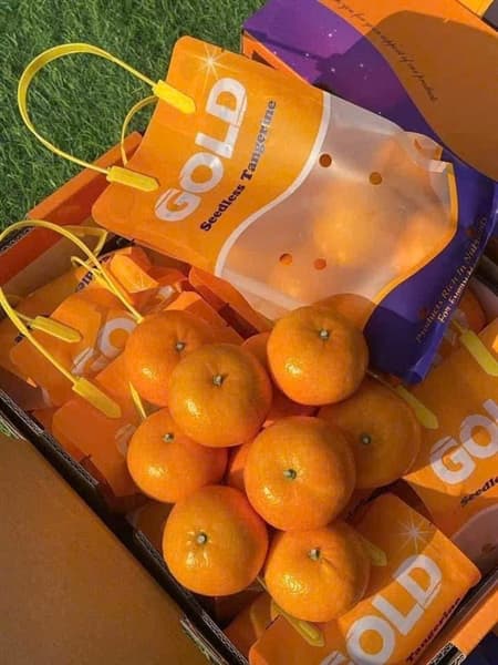 Quýt Úc túi con thỏ