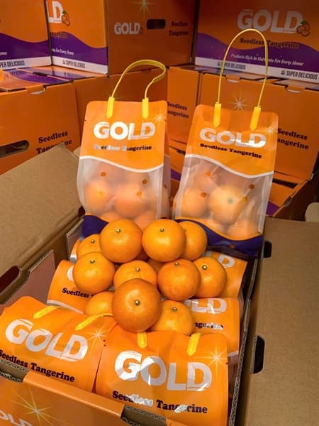 Quýt Úc túi con thỏ 4