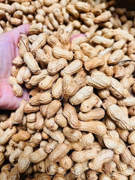 Lạc Nương Điện Biên Rang Giòn 500g 3