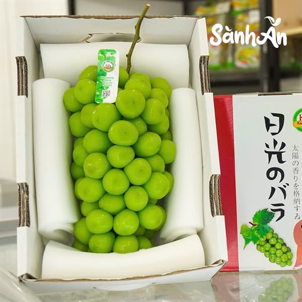 Nho sữa KK hộp thuyền