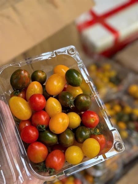 Cà chua bi Mộc Châu 2