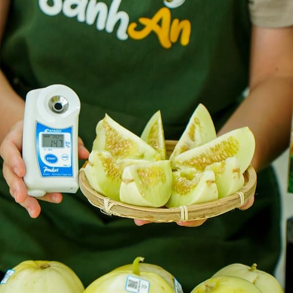 Dưa lê Đầm Tôm