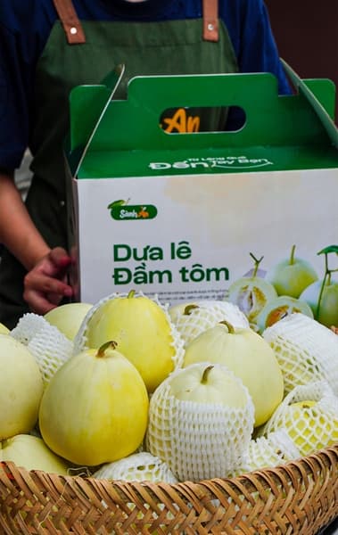 Dưa lê Đầm Tôm 2